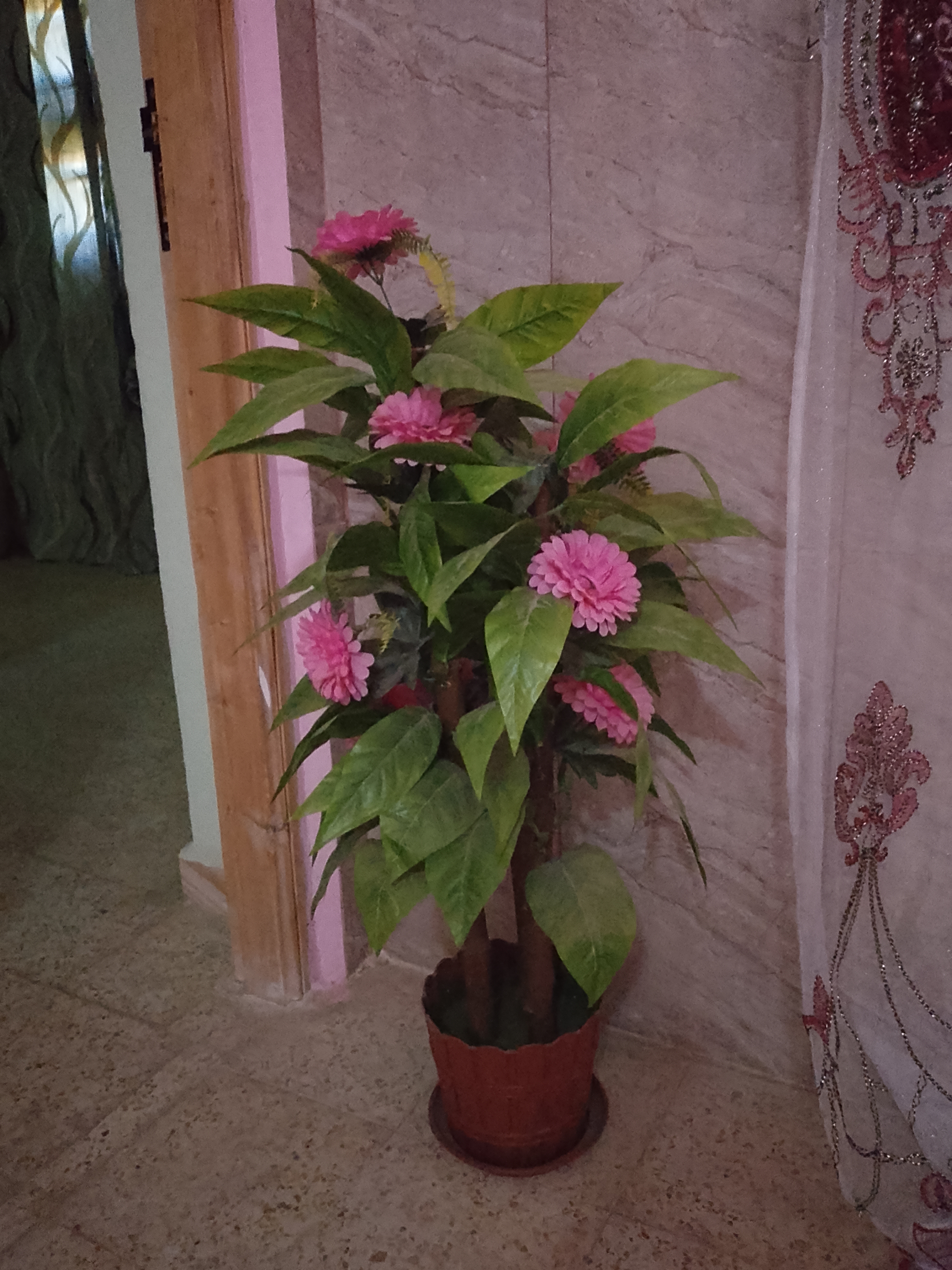 صورة الإعلان