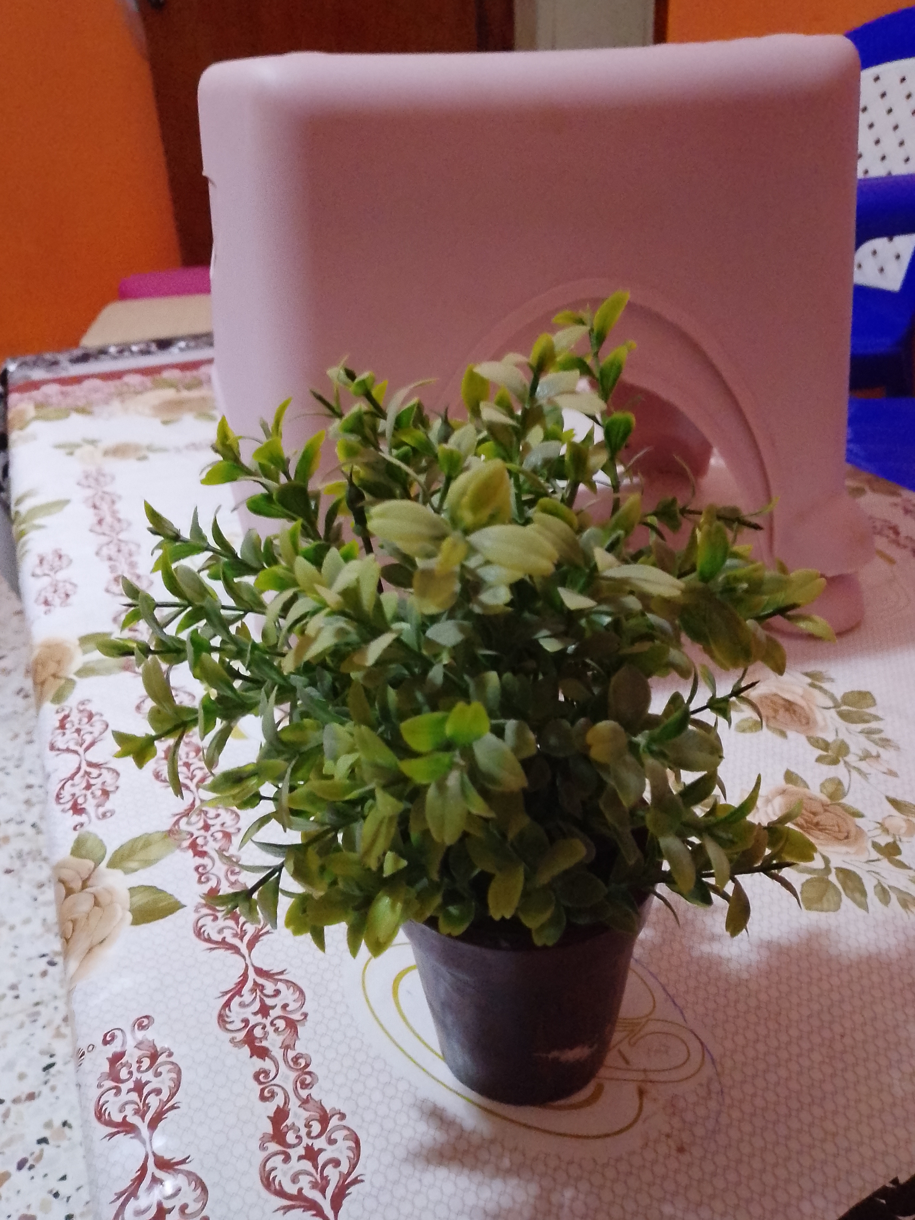 صورة الإعلان